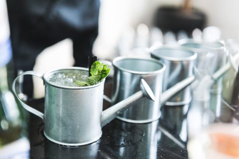 Watering Can Mojito