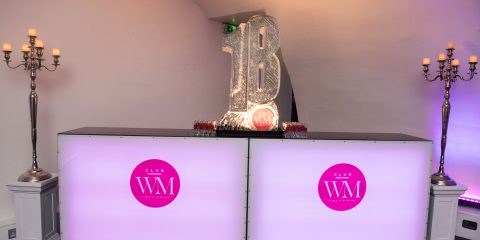 Double LED Bar with logo