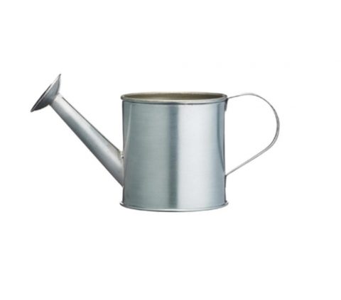 Mini Watering Can Hire