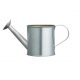 Mini Watering Can Hire