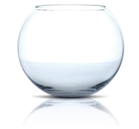 Large Goldfish Bowl