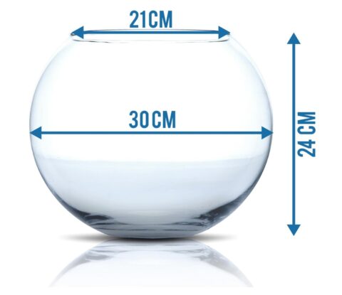 Large Goldfish Bowl (Dimensions)