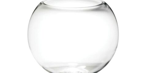 Gold Fish Bowl Medium